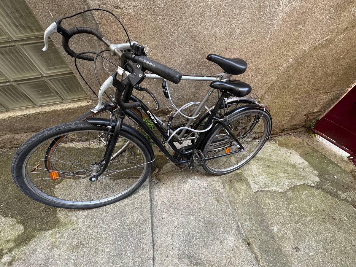 45475fff-1936-499c-aa74-ec94ce9a7301